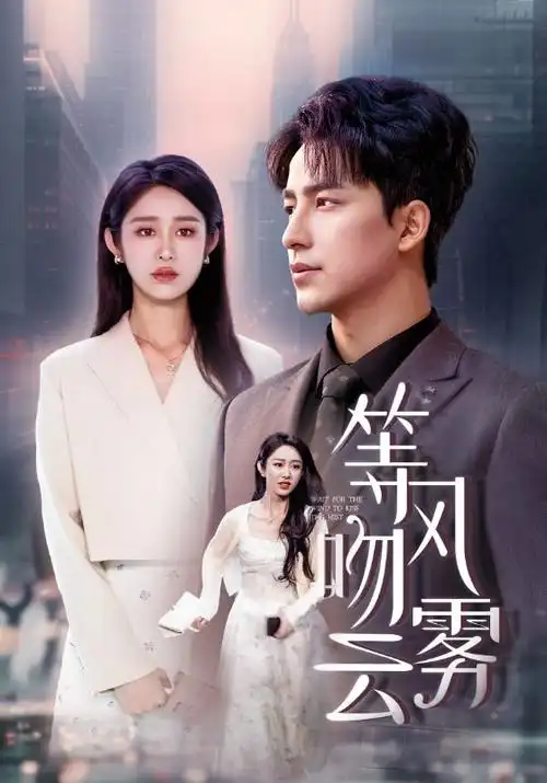 雾港迷航热播电视剧全集在线观看